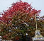 wegwijzer Burg J C van den Bergplein
